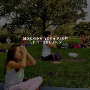 Morning yoga flow