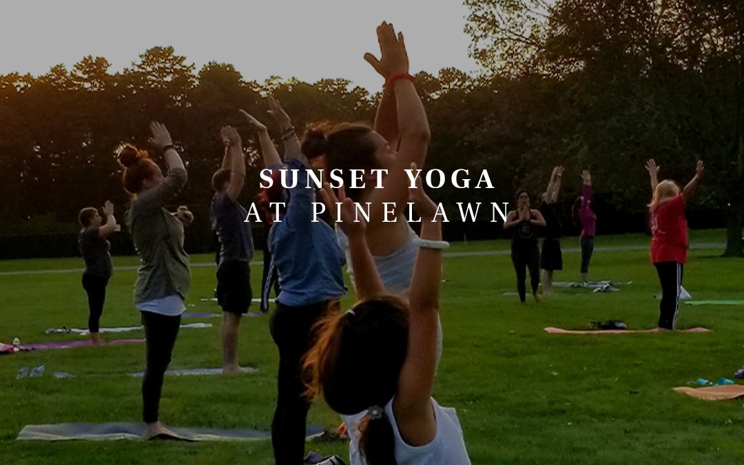 Sunset Yoga at pinelawn