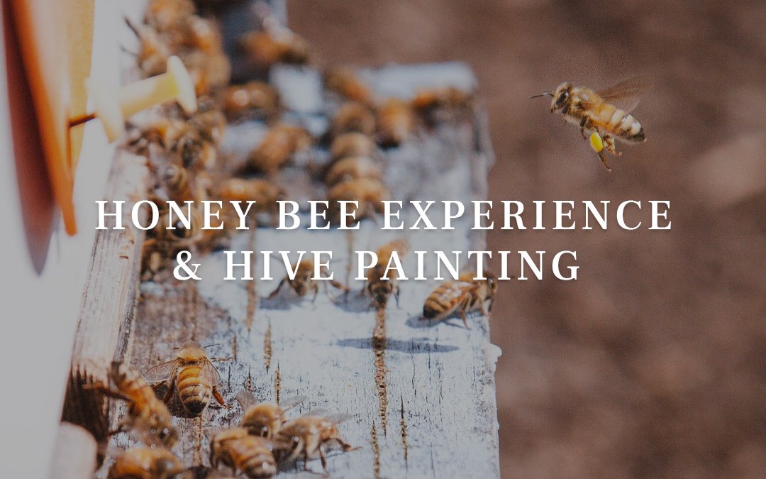 Honey Bee Experience and hive painting