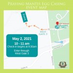 Praying mantis egg casing map