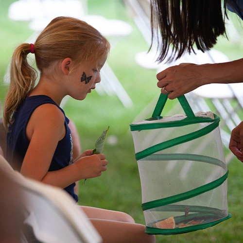 Butterfly Release Recap