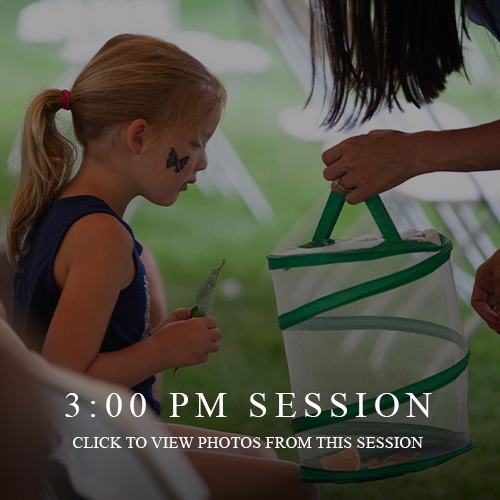 Butterfly Release Recap