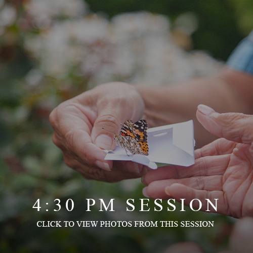 Butterfly Release Recap