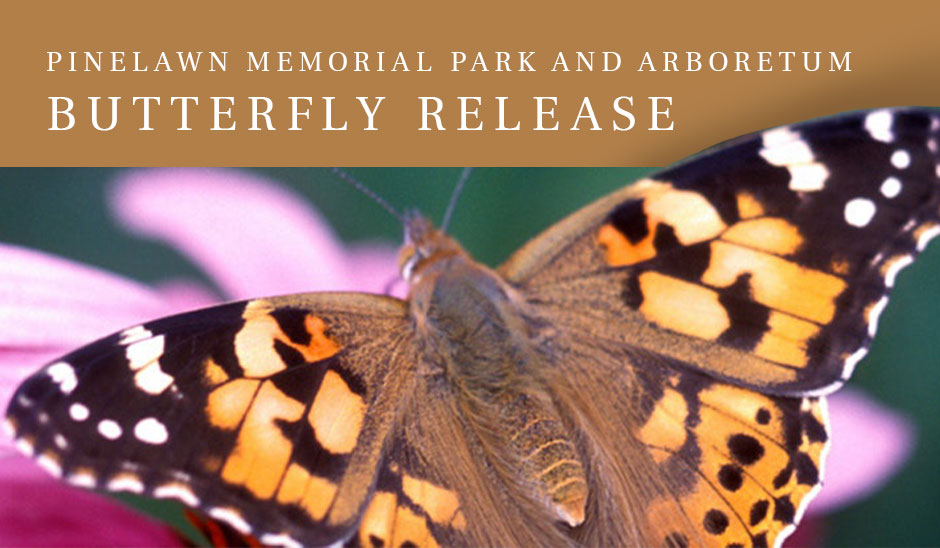 Pinelawn Memorial Park and Arboretum Butterfly Release
