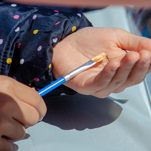 Praying Mantis Egg Casing Event 2022