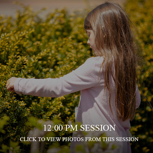 Praying Mantis Egg Casing Event 2022