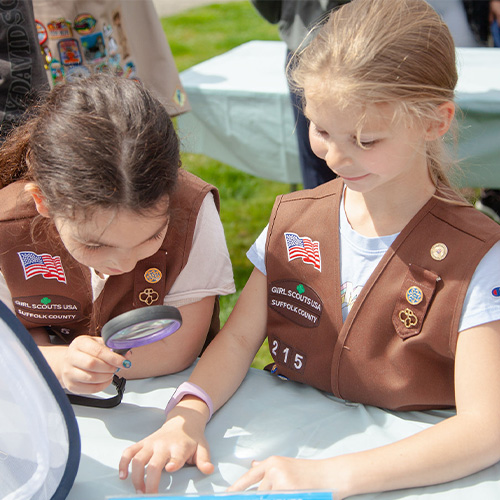 Praying Mantis Egg Casing Event 2022