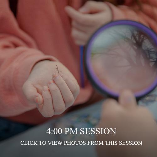 Praying Mantis Egg Casing Event 2022