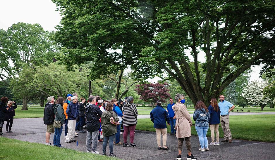 people outside around trees