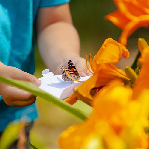 Butterfly Release 2022 Recap
