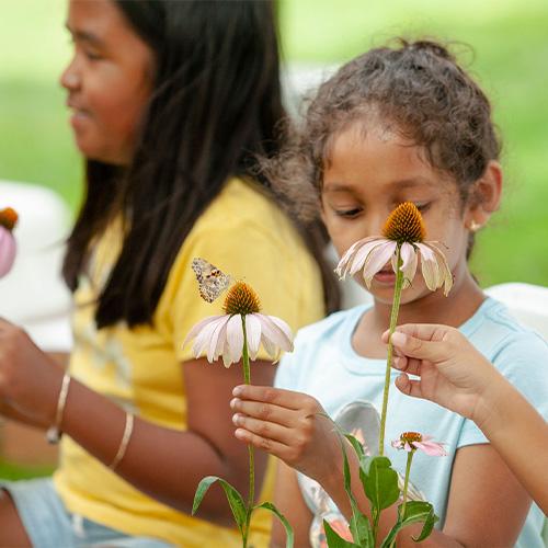Butterfly Release 2022 Recap