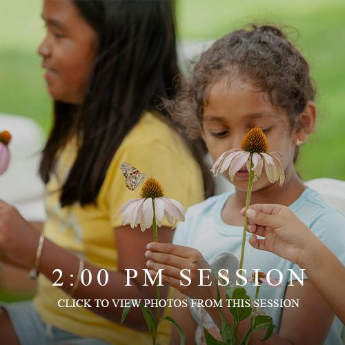 Butterfly Release 2022 Recap