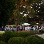 people outside in garden with trees and lights around them