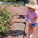 girl sprays a spray bottle onto rose bush in garden