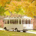 old fashioned trolley outside in front of tree with yellow and green leaves