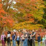 people standing outside in front of tree with orange yellow and green leaves