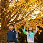children throwing yellow leaves in the air in front of tree
