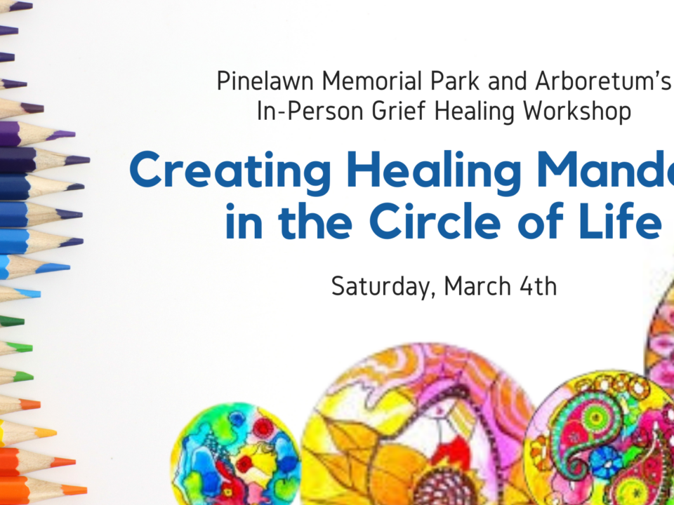 Pinelawn Memorial Park and Arboretum's In-person Grief Healing Workshop Creating Healing Mandalas in the Circle of Life Saturday March 4th