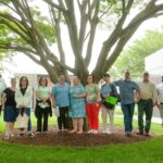 photo of people posing in front of a tree