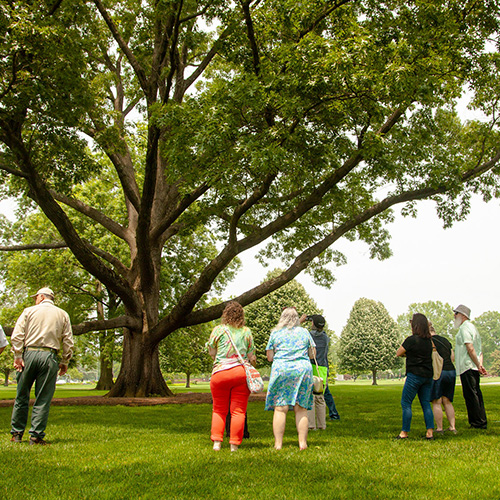 arboretum-tour-130pm-button-hover
