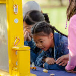 young girl looking at a case with honey bees inside